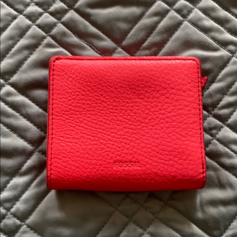 Small Fossil Pebble Wallet
